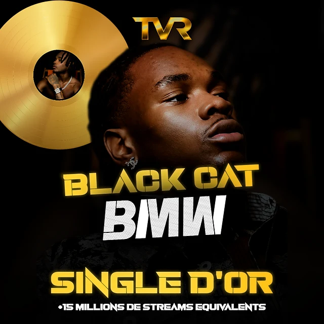 Certification Or de Black Cat