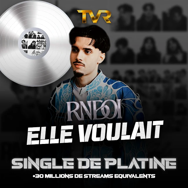 Certification Platine de RnBoi