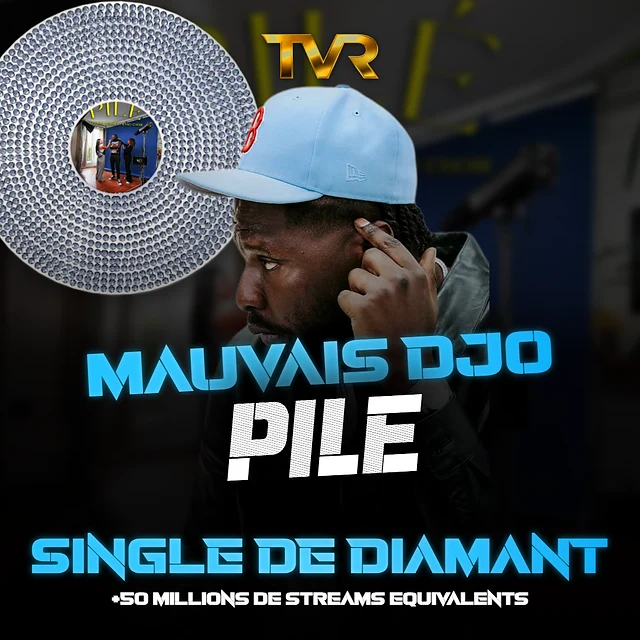 Certification Diamant de Mauvais Djo